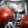 Real Boxing™