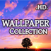 Exquisite Wallpapers Collection HD
